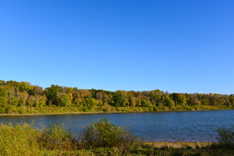 Glass Repair Coon Rapids